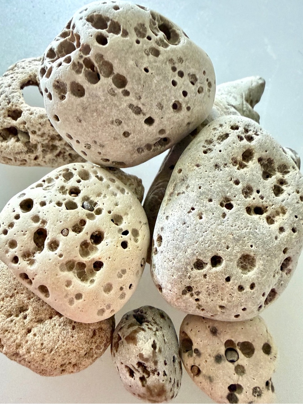 ☀️8 Vesicular Basalt Natural Stones☀️ ~1”-3”